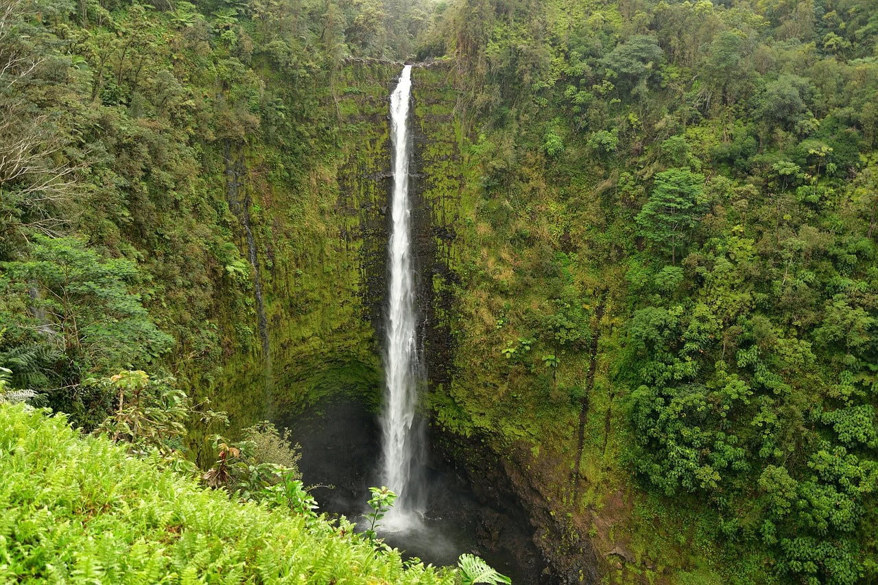 Akaka Falls State Park Big Island Of Hawaii