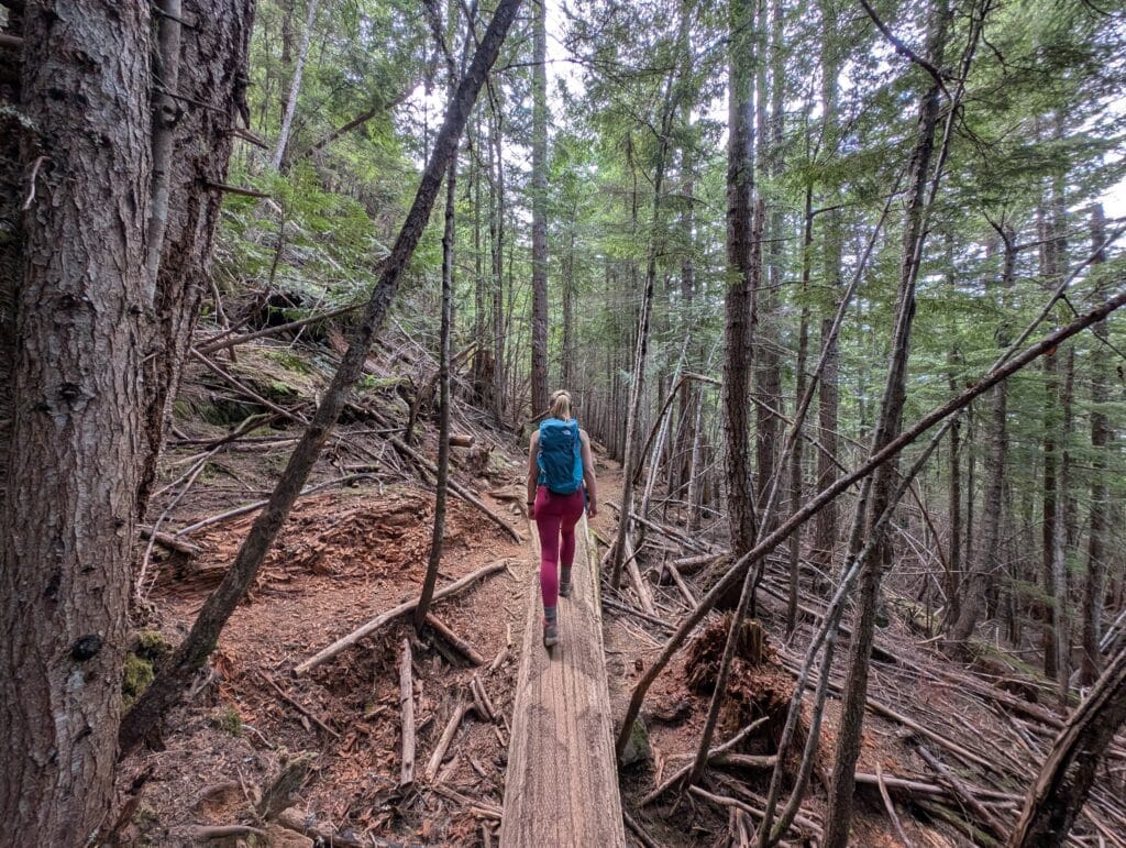 Trail conditions on Mount Benson Nanaimo BC