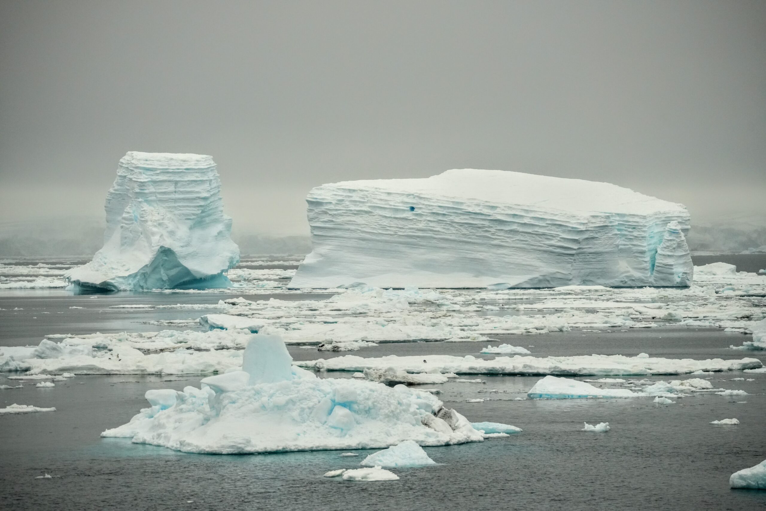 Icebergs in Antarctica the 7th continent