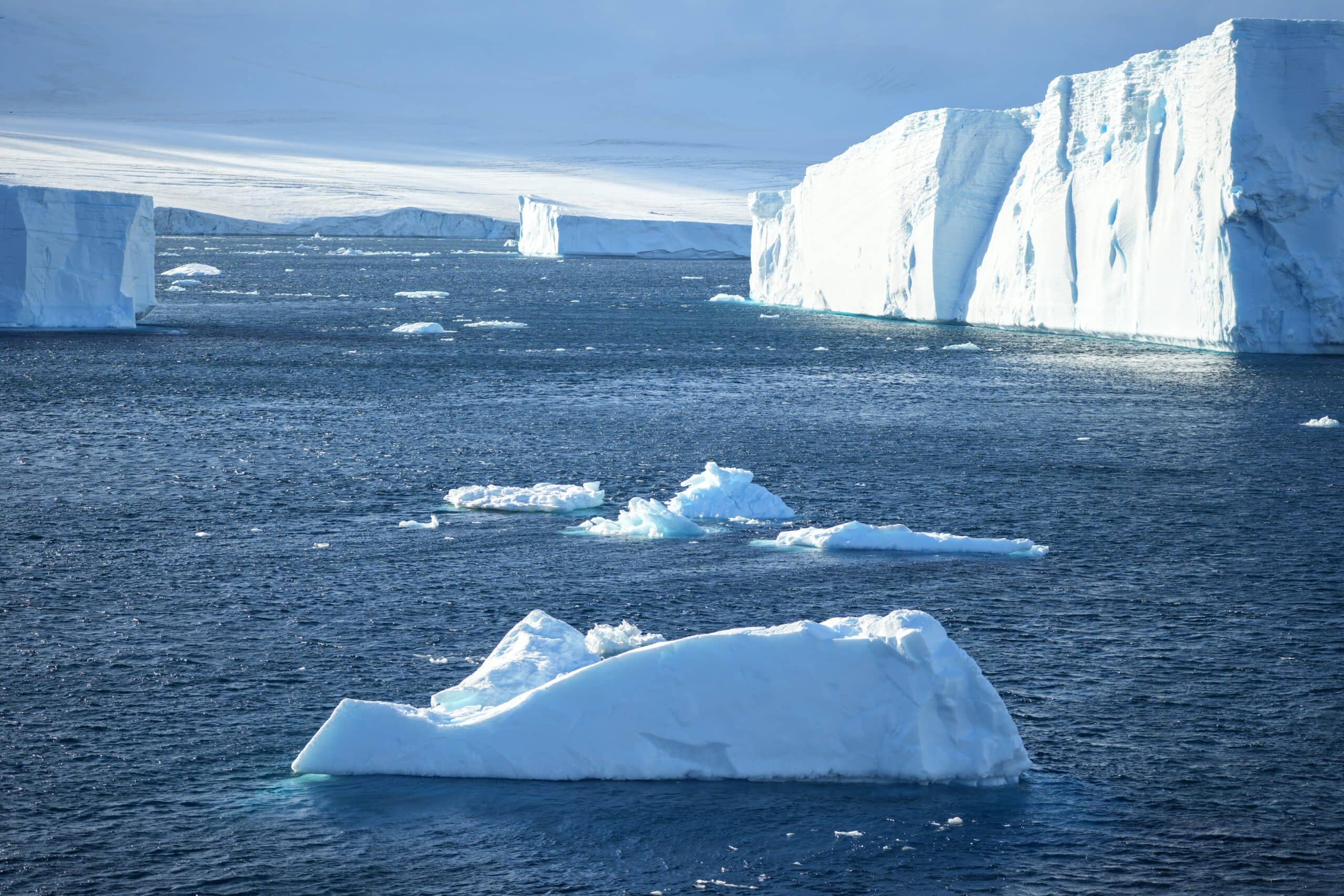 Tabular icebergs on cruise Antarctica the 7th continent