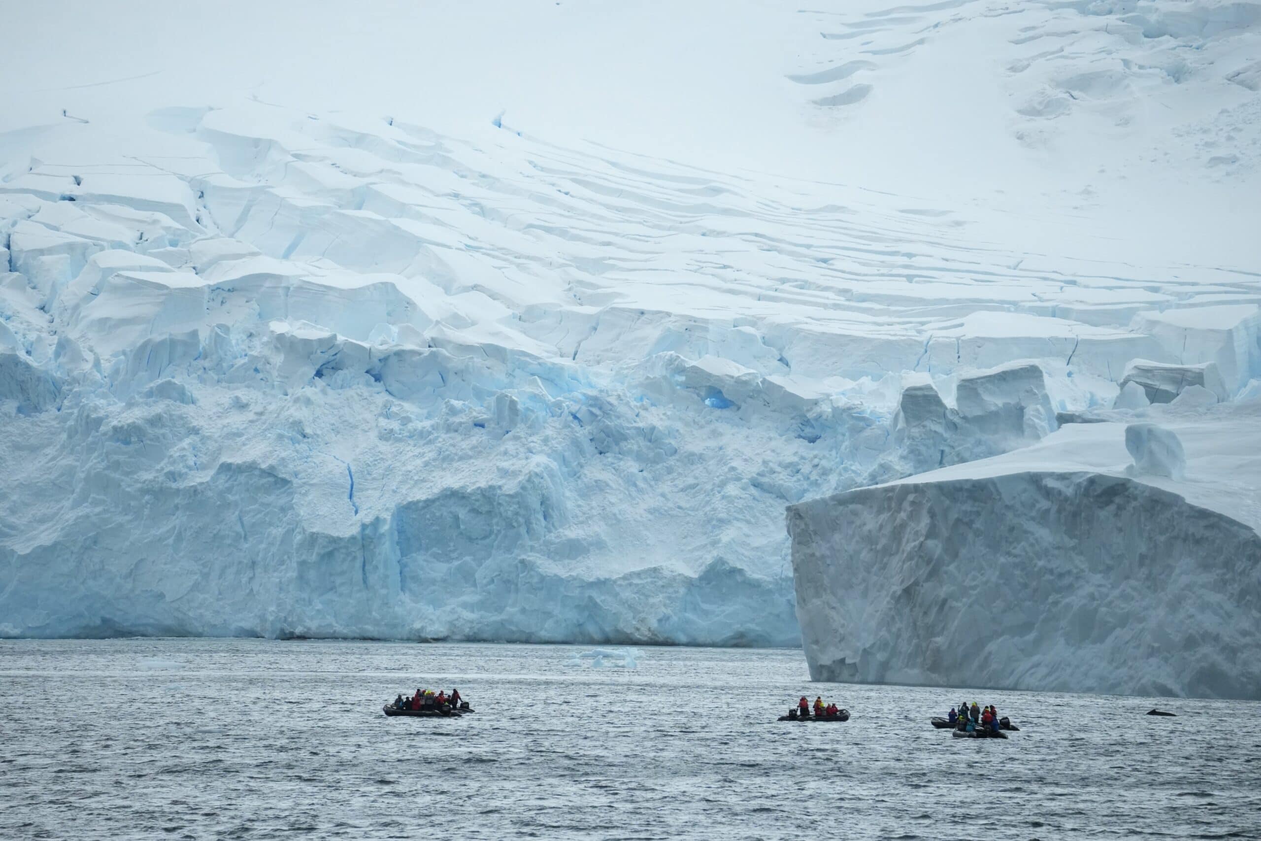 Huge Icebergs Antarctica the 7th continent